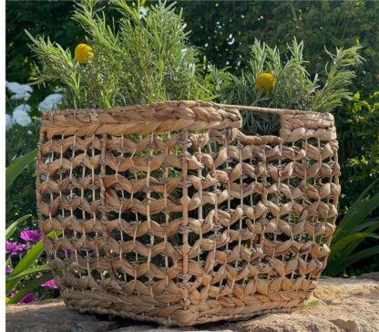 BASKET "ROMANO" - Image 3