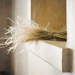 Stipa Pennata Dried Flowers - 45cm